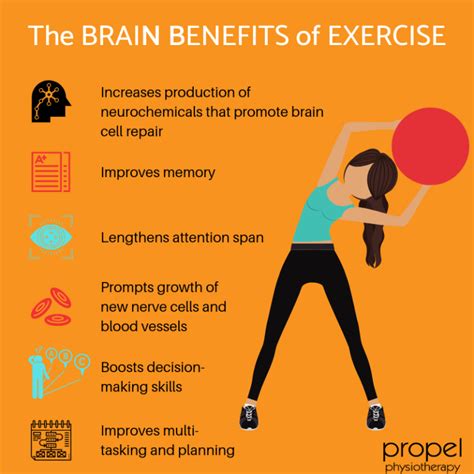 What type of exercise benefits the brain the most?