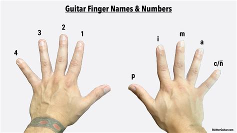 What type of fingers are best for guitar?
