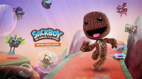 What type of game is Sackboy?