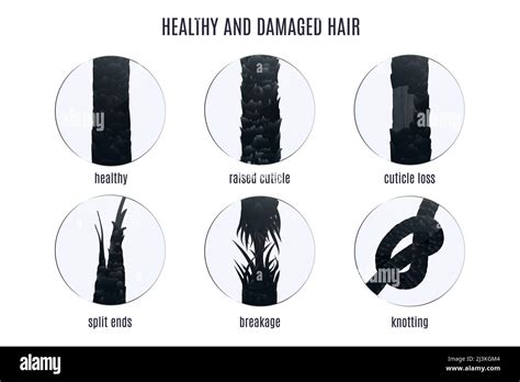 What type of hair breaks easily?