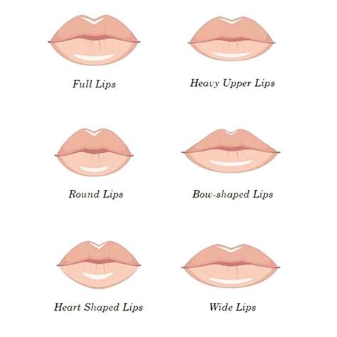 What type of lips are good for kissing?