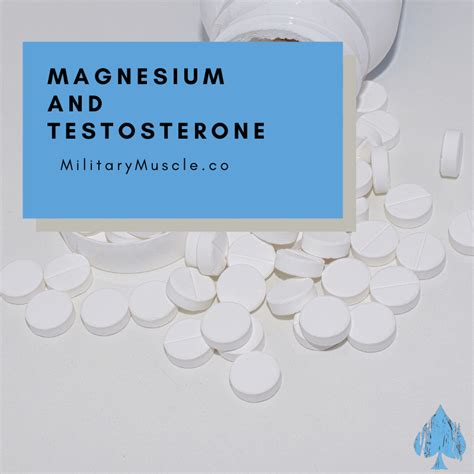 What type of magnesium increases testosterone?