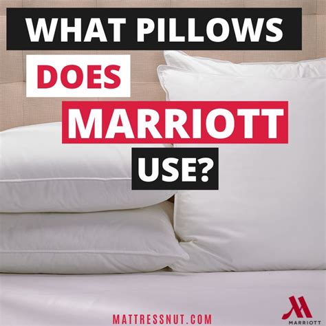 What type of pillow is used in hotels?