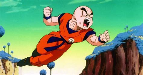 What type of race is Krillin?