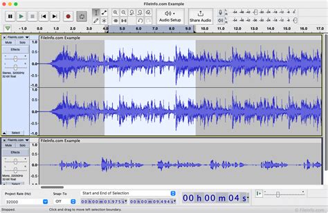 What type of software is Audacity?
