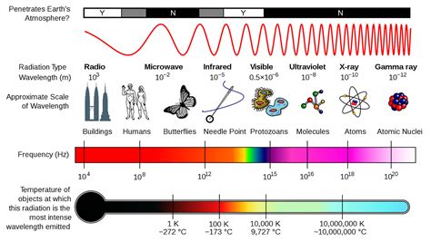 What type of wave is light?