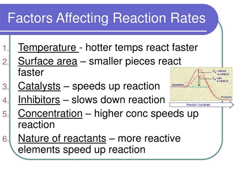 What types of things can affect reaction rates?