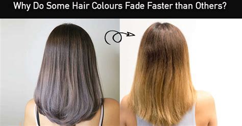 What unnatural hair colour stays the longest?