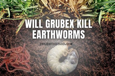 What usually kills earthworms?