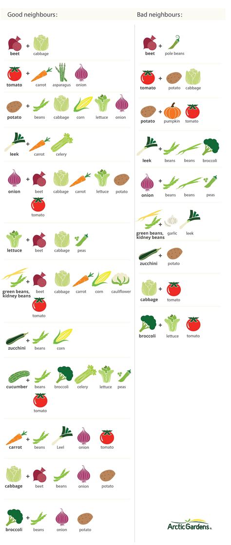 What vegetables don't like each other?
