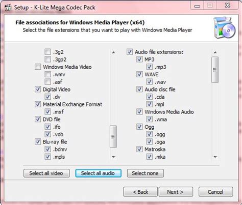 What video format is Windows Media Player?