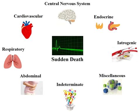 What virus causes sudden death?