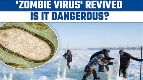 What virus was found in ice?