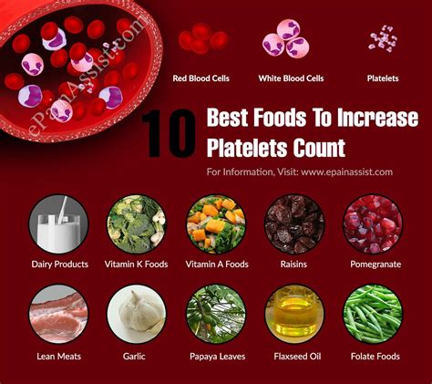 What vitamin gives you red blood cells?