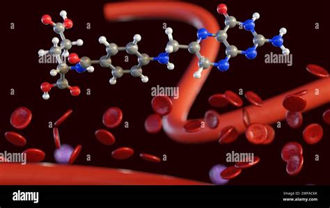 What vitamin helps the body make red blood cells?