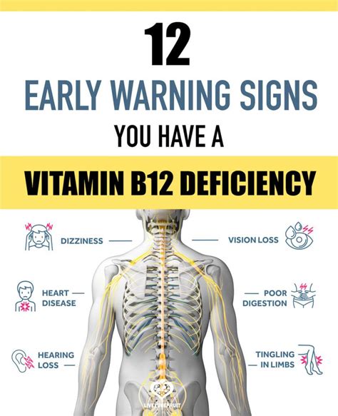 What vitamins should not be taken with B12?