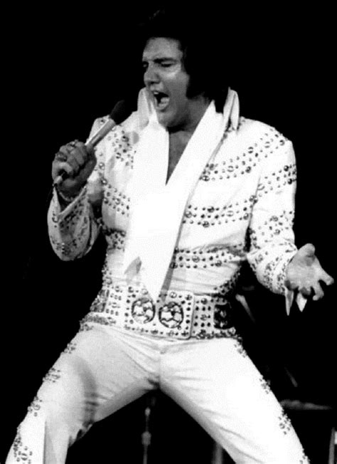 What was Elvis biggest concert?