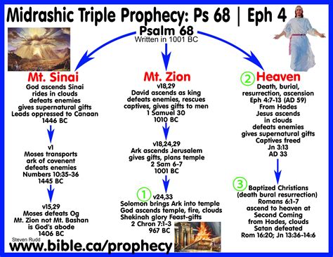 What was God's prophecy to David?