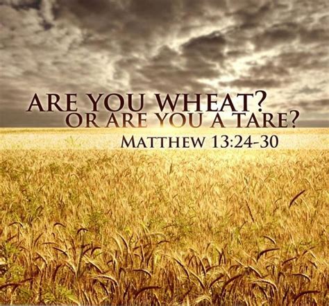 What was Matthew like in the Bible?