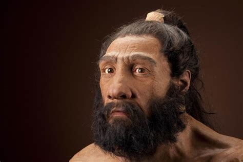 What was Neanderthal DNA diet?