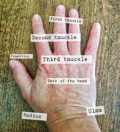 What was the first knuckle?
