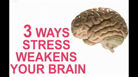 What weakens the brain?
