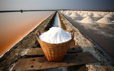 What were the ancient uses of salt?
