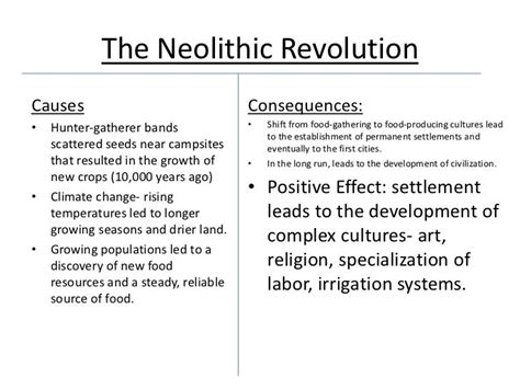 What were the positive effects of the Neolithic Revolution?