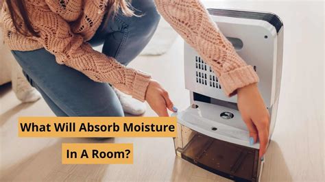 What will absorb moisture in a room?