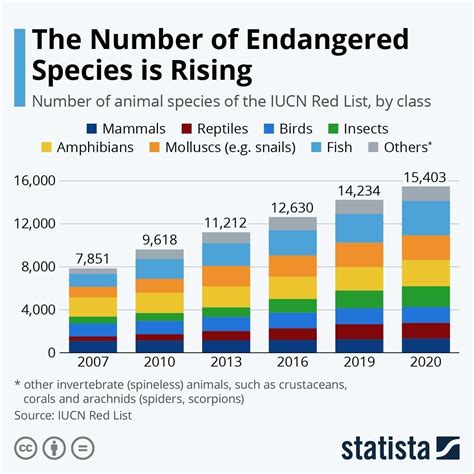 What will be extinct in 2024?