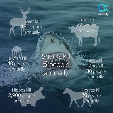 What will happen if all animals are killed?