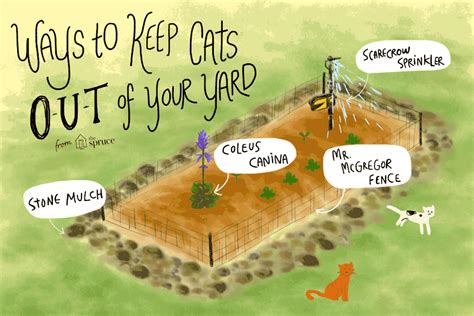 What will keep cats away?