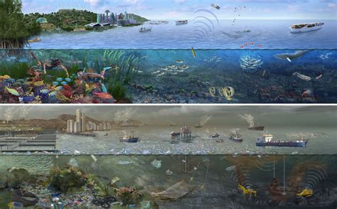 What will the sea look like in 2050?