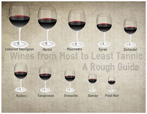 What wine has the most tannins?