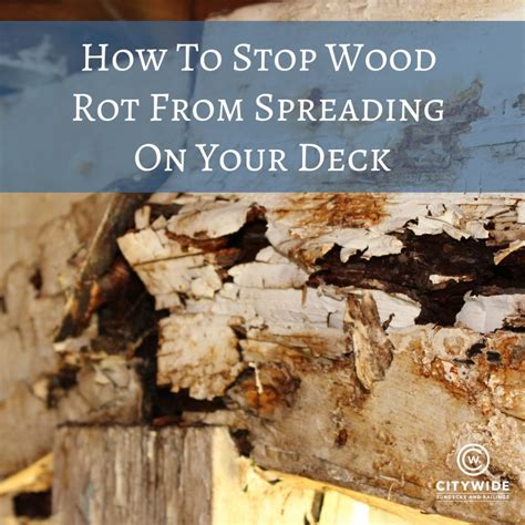 What wood will not rot?