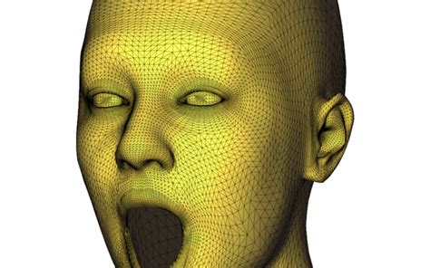 What would a 4D human look like?