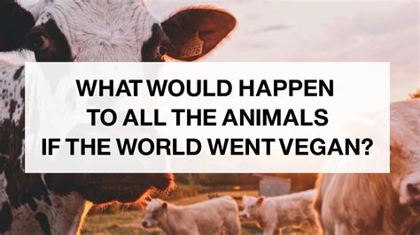 What would happen if we all went vegan?