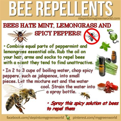 What would repel bees?