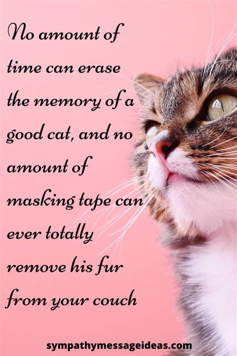 When a cat passes away?