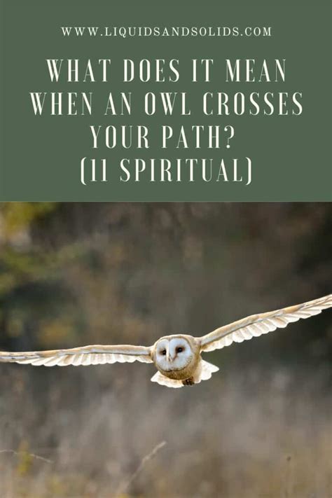 When an owl crosses your path?