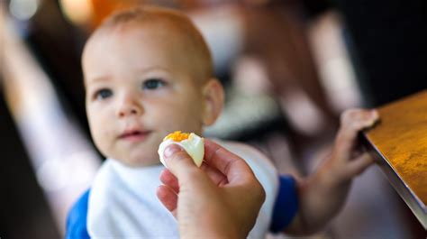 When can babies eat egg?
