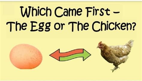 When did eggs first exist?