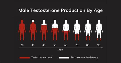 When does testosterone peak?