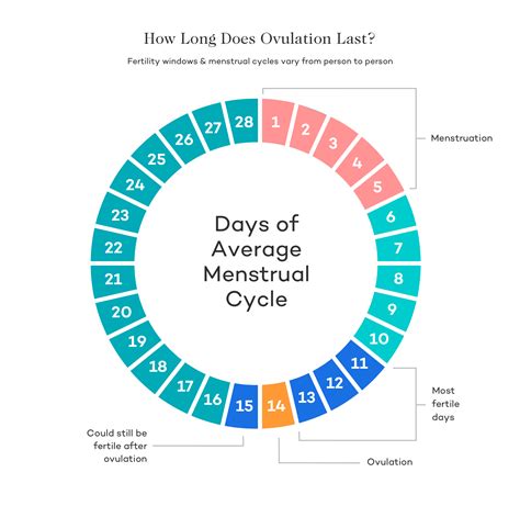 When is the least likely time to get pregnant?