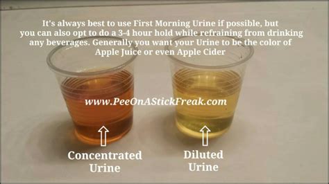 When is urine concentrated?