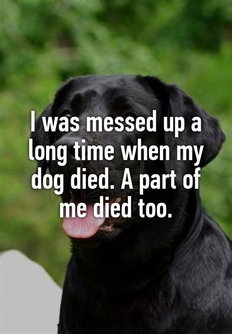 When my dog died a part of me died?