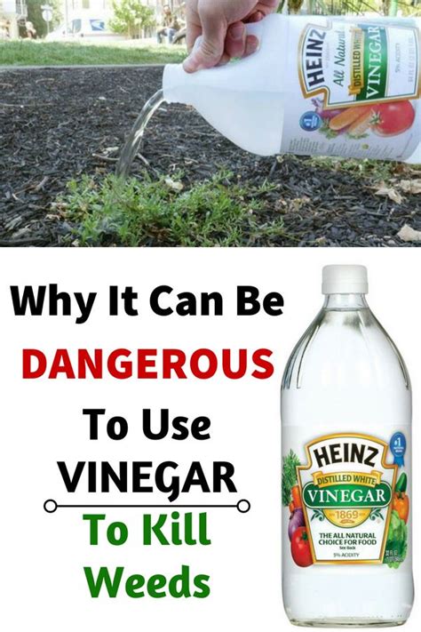 When not to use vinegar?