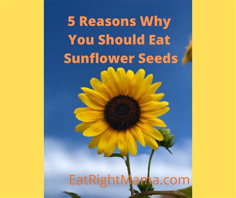 When should I eat sunflower seeds morning or night?