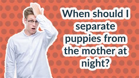 When should I separate puppies from the mother at night?