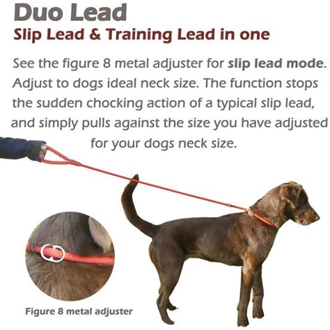 When should I start using a slip lead?